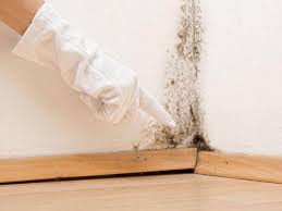 Dixon, MO Mold Removal Company